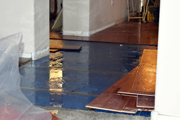 Professional Basement Flood Cleanup technician working in North Chicago, IL